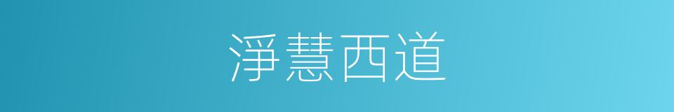 淨慧西道的同義詞