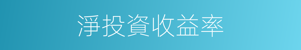 淨投資收益率的同義詞
