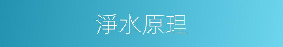 淨水原理的同義詞