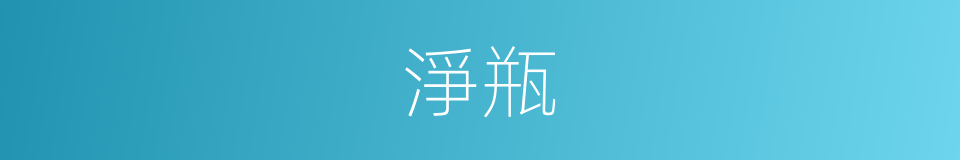 淨瓶的同義詞