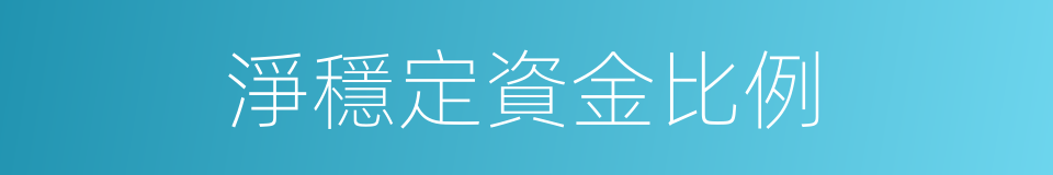 淨穩定資金比例的同義詞