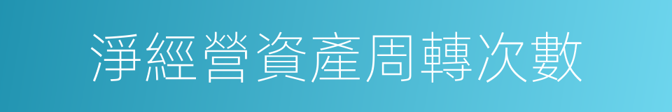 淨經營資產周轉次數的同義詞