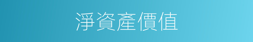 淨資產價值的同義詞