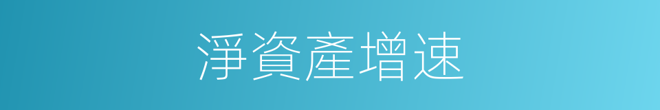 淨資產增速的同義詞