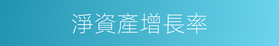 淨資產增長率的同義詞