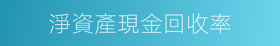 淨資產現金回收率的同義詞