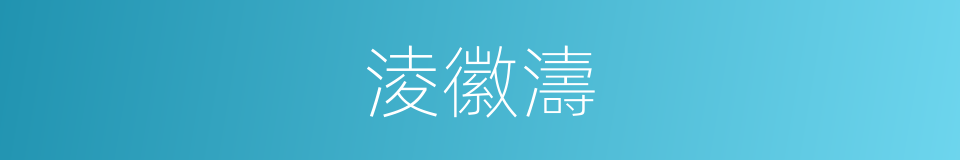 淩徽濤的同義詞