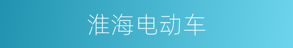 淮海电动车的同义词