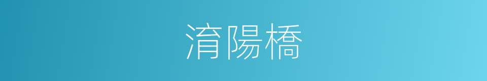 淯陽橋的同義詞