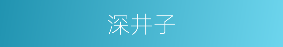 深井子的同义词