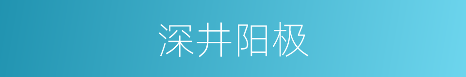 深井阳极的同义词