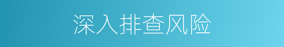深入排查风险的同义词
