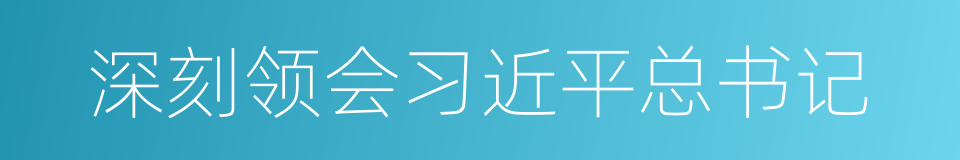 深刻领会习近平总书记的同义词