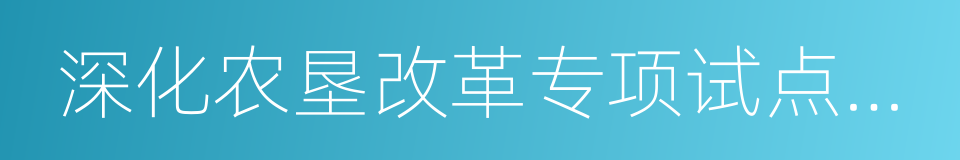 深化农垦改革专项试点工作方案的同义词