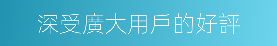 深受廣大用戶的好評的同義詞