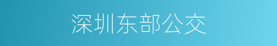 深圳东部公交的同义词