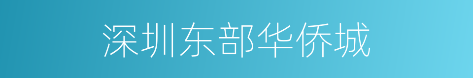 深圳东部华侨城的同义词