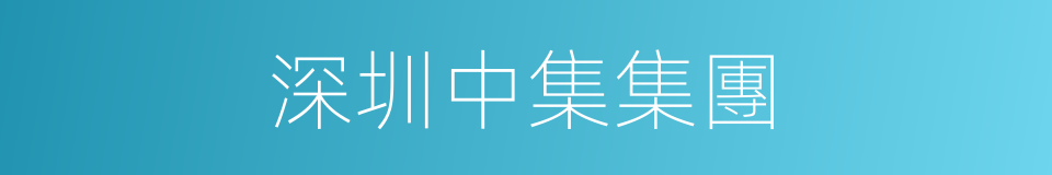 深圳中集集團的同義詞