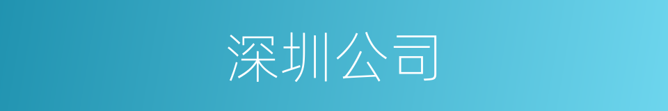 深圳公司的同义词