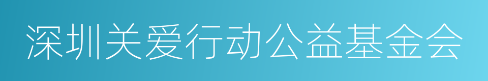 深圳关爱行动公益基金会的同义词