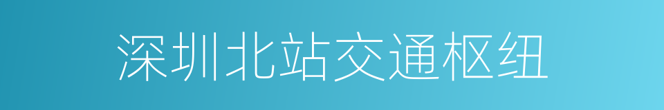 深圳北站交通枢纽的同义词