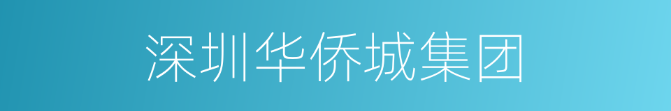 深圳华侨城集团的同义词