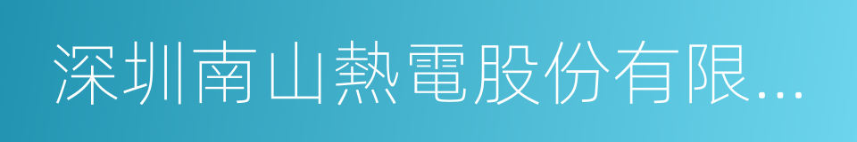 深圳南山熱電股份有限公司的同義詞