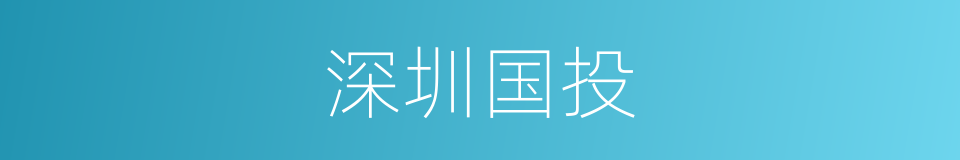 深圳国投的同义词