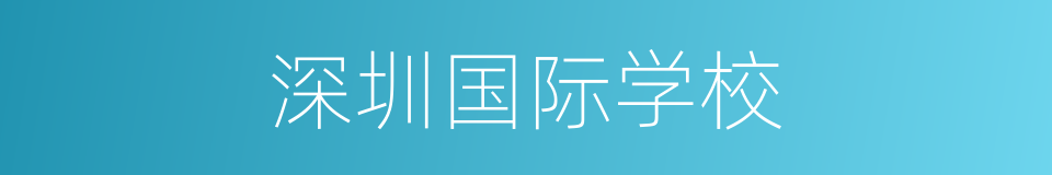 深圳国际学校的同义词