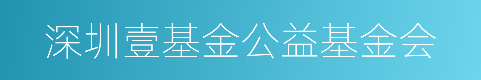 深圳壹基金公益基金会的同义词