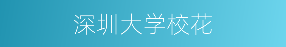 深圳大学校花的同义词