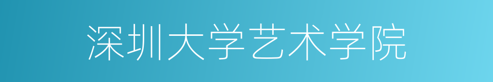 深圳大学艺术学院的同义词