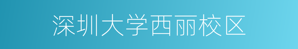 深圳大学西丽校区的同义词