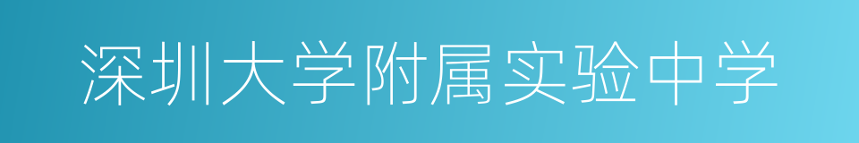 深圳大学附属实验中学的同义词