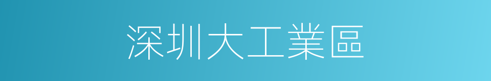 深圳大工業區的同義詞