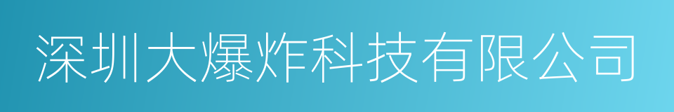 深圳大爆炸科技有限公司的同义词