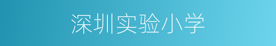 深圳实验小学的同义词
