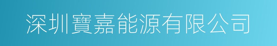 深圳寶嘉能源有限公司的同義詞