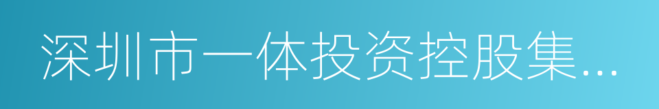 深圳市一体投资控股集团有限公司的同义词