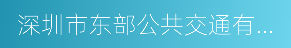 深圳市东部公共交通有限公司的同义词