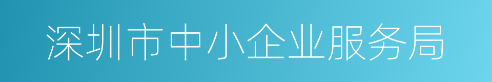 深圳市中小企业服务局的同义词