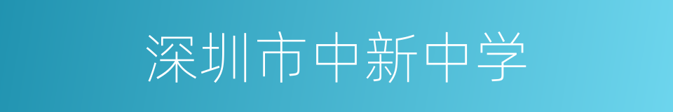 深圳市中新中学的同义词