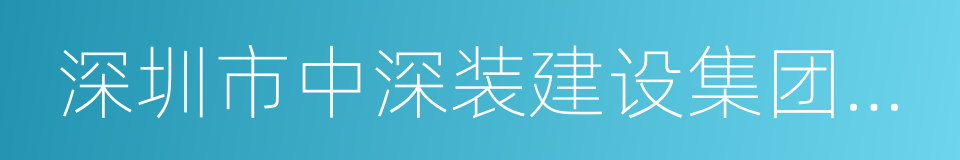 深圳市中深装建设集团有限公司的同义词