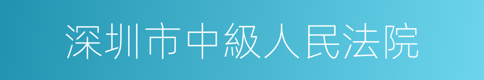 深圳市中級人民法院的同義詞