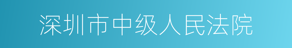 深圳市中级人民法院的同义词