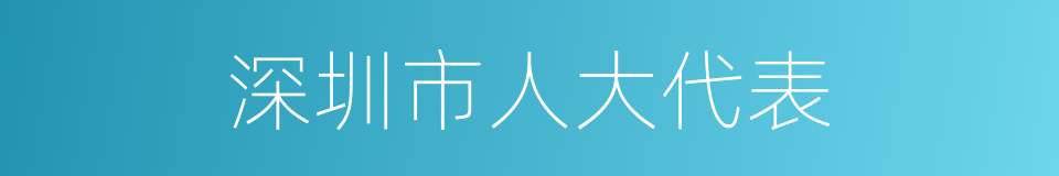 深圳市人大代表的同义词