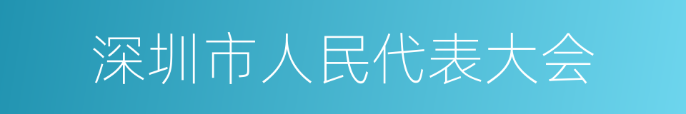 深圳市人民代表大会的同义词