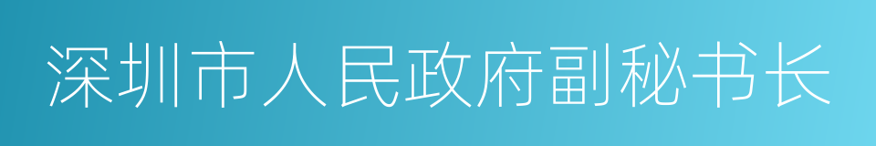 深圳市人民政府副秘书长的同义词