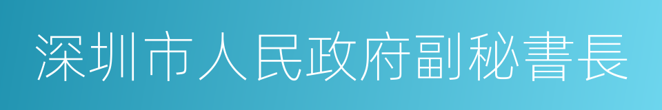 深圳市人民政府副秘書長的同義詞