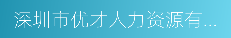 深圳市优才人力资源有限公司的同义词